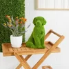 16" X 10" Country Cottage Ceramic Dog Garden Sculpture Green - Olivia & May