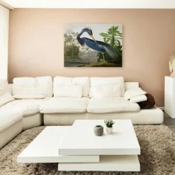 John James Audubon 'Louisiana Heron' Canvas Art -Art Wall Deals Store GUEST 173901f7 5b0a 447d b3e5 facbc4548000