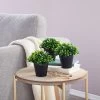 Juvale 3 Pack Mini Artificial Potted Fake Plants For Home Decor, Indoor Small Faux Topiaries For Room, Office Desk, Bathroom Greenery Decorations