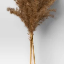 Pampas Grass Bundle - Threshold™ -Art Wall Deals Store GUEST 26edef61 6665 4adf 8950 0f1ca68295ab