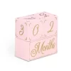 The Peanutshell Milestone Blocks Traditional Girl - Pink/Gold