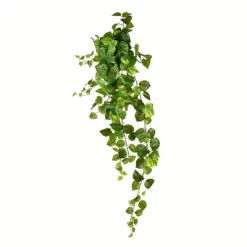 Vickerman Artificial Pothos Hanging Bush -Art Wall Deals Store GUEST 284454e7 230a 4c08 adc1 6b6c29528df4