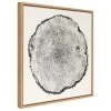 30" X 30" Sylvie Tree Rings Framed Wall Canvas By Emiko And Mark Franzen Natural - Kate & Laurel All Things Decor