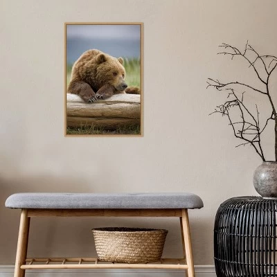 16" X 23" Bear Resting On A Beached Log By Paul Souders Danita Delimont Framed Canvas Wall Art Brown - Amanti Art 6 16" X 23" Bear Resting On A Beached Log By Paul Souders Danita Delimont Framed Canvas Wall Art Brown - Amanti Art - Image 6
