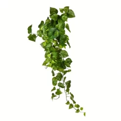 Vickerman Artificial Pothos Hanging Bush -Art Wall Deals Store GUEST 428d1568 dfaa 4225 9dec b8ca2fbe7fcf