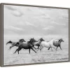24" X 18" Horse Run I By PH Burchett Framed Canvas Wall Art - Amanti Art