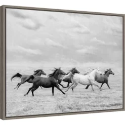 24" X 18" Horse Run I By PH Burchett Framed Canvas Wall Art - Amanti Art