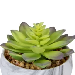 Northlight 4" Green And Purple Artificial Succulent In Faux Marble Pot -Art Wall Deals Store GUEST 4820c60a 3b83 45a4 9615 b791302cd47a