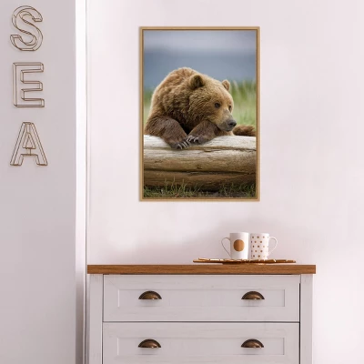 16" X 23" Bear Resting On A Beached Log By Paul Souders Danita Delimont Framed Canvas Wall Art Brown - Amanti Art 4 16" X 23" Bear Resting On A Beached Log By Paul Souders Danita Delimont Framed Canvas Wall Art Brown - Amanti Art - Image 4