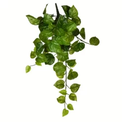 Vickerman Artificial Pothos Hanging Bush -Art Wall Deals Store GUEST 5eac1a65 497b 4362 a576 158fd9c78bef