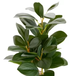 Juvale Artificial Plants In Pot, Fake Faux Plants With Gray Cement Planter, 3.1 X 3.1 X 11.8 In -Art Wall Deals Store GUEST 5fd852a2 c66e 4b8d 9414 f494a177fb70