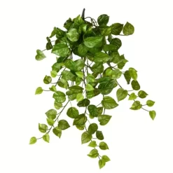 Vickerman Artificial Pothos Hanging Bush -Art Wall Deals Store GUEST 6248d5f7 beee 44ad ac93 de5e35e75880