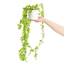 Juvale 2 Pack Hanging Artificial Faux Eucalyptus, Fake Plants With Ceramic Pots For Spring Home Decor, House Warming Gift, 31 In -Art Wall Deals Store GUEST 75fc3f0c a741 412e 8ac4 c6020be941b7