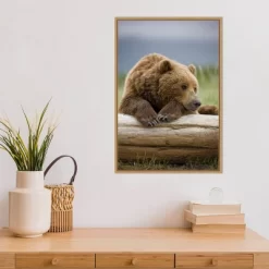 16" X 23" Bear Resting On A Beached Log By Paul Souders Danita Delimont Framed Canvas Wall Art Brown - Amanti Art 11 16" X 23" Bear Resting On A Beached Log By Paul Souders Danita Delimont Framed Canvas Wall Art Brown - Amanti Art -Art Wall Deals Store GUEST 8b797265 a787 4a44 ba1c ebf9c2c3e0ed