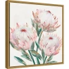 16" X 16" King Protea II By Isabelle Z Framed Canvas Wall Art - Amanti Art