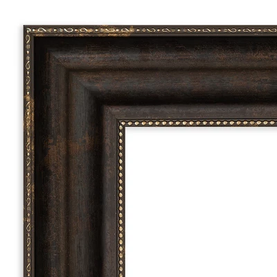 Amanti Art Stately Bronze Picture Frame 1 Amanti Art Stately Bronze Picture Frame