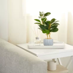 Juvale Artificial Plants In Pot, Fake Faux Plants With Gray Cement Planter, 3.1 X 3.1 X 11.8 In