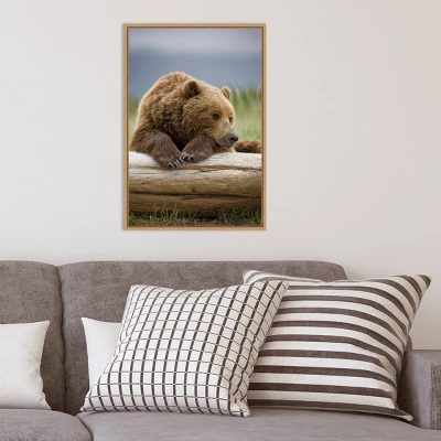 16" X 23" Bear Resting On A Beached Log By Paul Souders Danita Delimont Framed Canvas Wall Art Brown - Amanti Art 7 16" X 23" Bear Resting On A Beached Log By Paul Souders Danita Delimont Framed Canvas Wall Art Brown - Amanti Art - Image 7