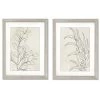 Botany Sketches By Karyn Panganiban - 2 Piece Gallery Framed Print Art Set