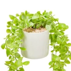 Juvale 2 Pack Hanging Artificial Faux Eucalyptus, Fake Plants With Ceramic Pots For Spring Home Decor, House Warming Gift, 31 In -Art Wall Deals Store GUEST be1ed7ba 59d4 4b79 9f62 89c76815a123