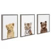 3pc Sylvie Lions And Tigers And Bears Framed Wall Canvases By Amy Peterson Gray - Kate & Laurel All Things Decor
