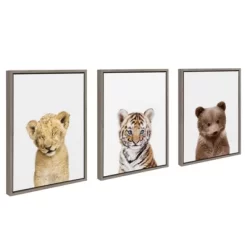 3pc Sylvie Lions And Tigers And Bears Framed Wall Canvases By Amy Peterson Gray - Kate & Laurel All Things Decor