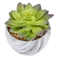 Northlight 4" Green And Purple Artificial Succulent In Faux Marble Pot -Art Wall Deals Store GUEST c75b46e4 c305 4207 93b3 df37b12fcbd2
