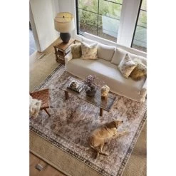 Lauren Liess X RugsUSA - Oak Casual Sisal Area Rug -Art Wall Deals Store GUEST fc340848 3f89 490a b9da 10cd059c63fc